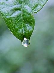 As a cute girl, I ju As a cute girl, I ju